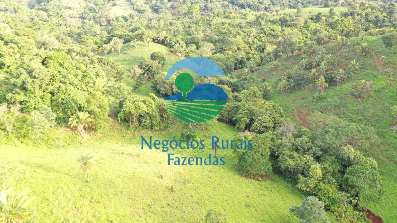 Fazenda à venda de 145 ha em Formoso, GO, Brasil