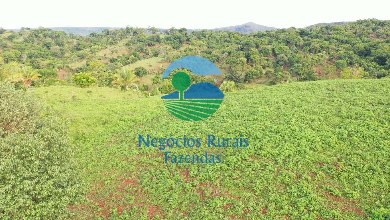 Fazenda à venda de 145 ha em Formoso, GO, Brasil