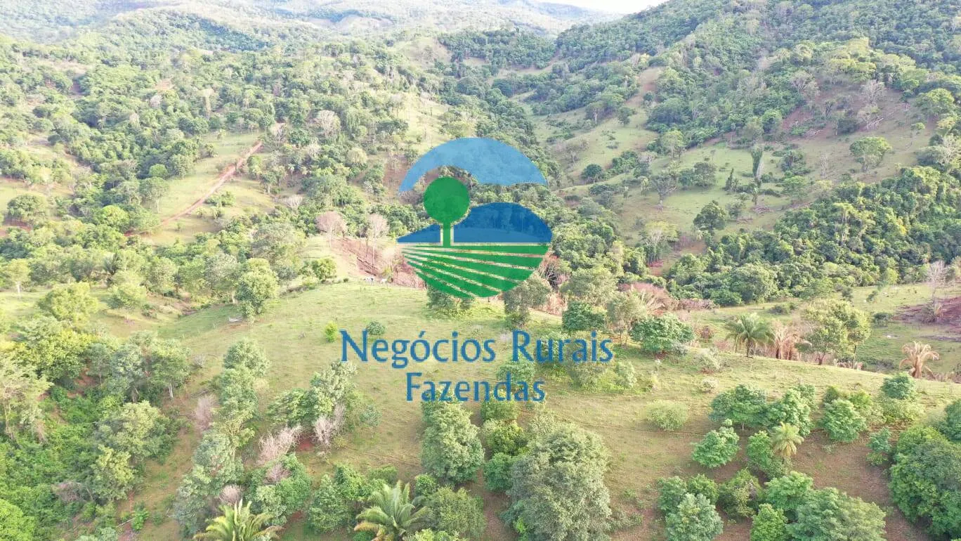 Fazenda à venda de 145 ha em Formoso, GO, Brasil