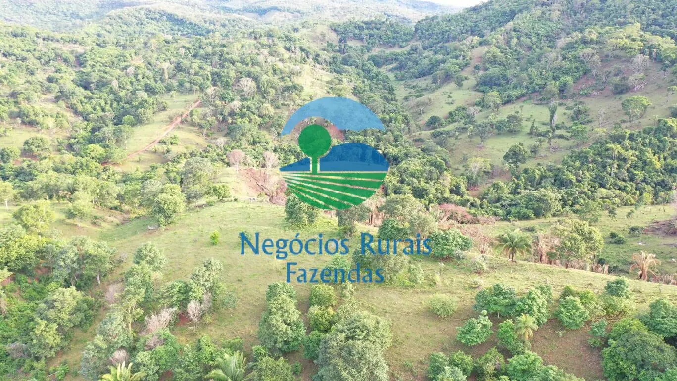 Fazenda à venda de 145 ha em Formoso, GO, Brasil