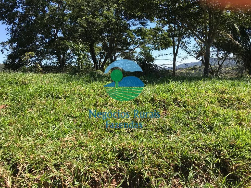 Fazenda à venda de 145 ha em Formoso, GO, Brasil