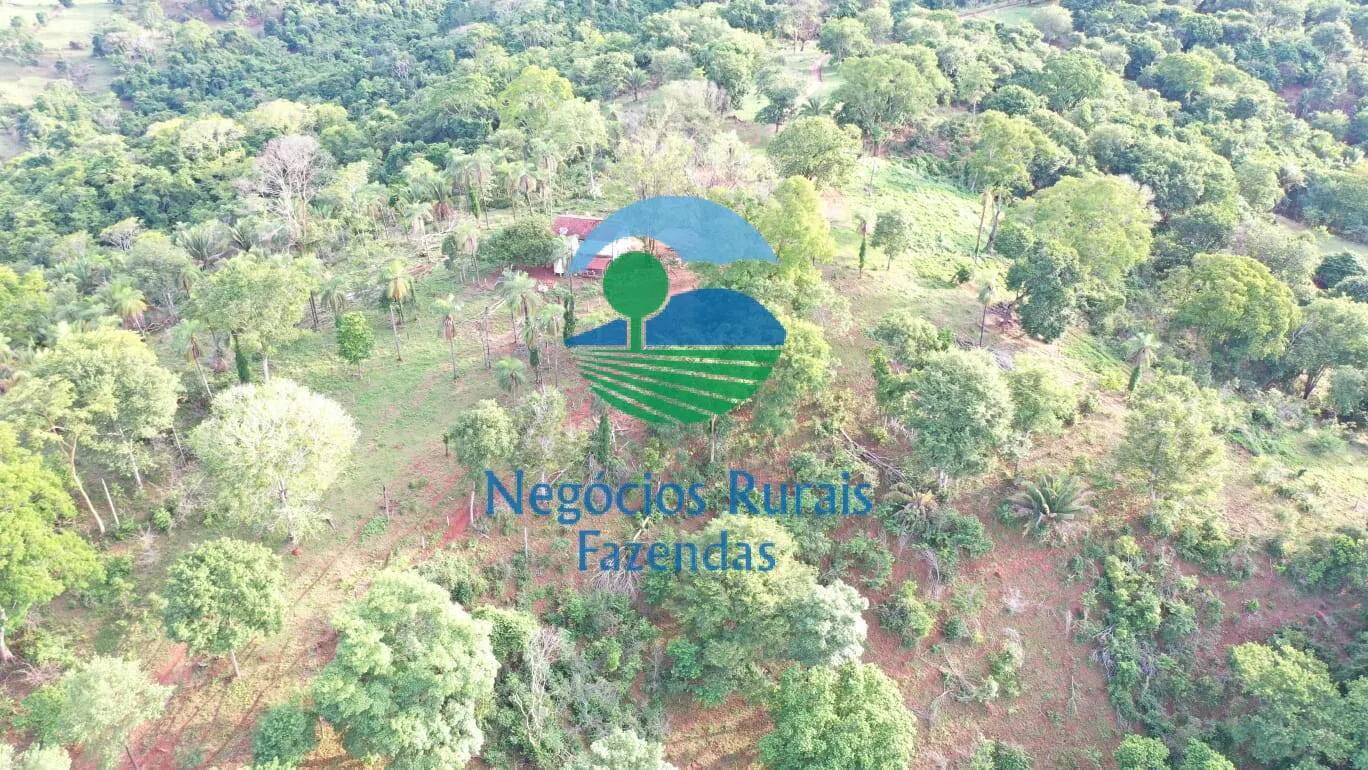 Fazenda à venda de 145 ha em Formoso, GO, Brasil