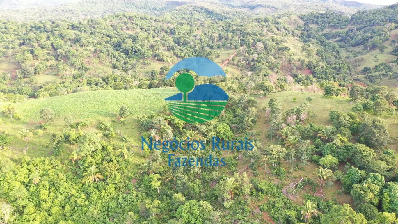 Fazenda à venda de 145 ha em Formoso, GO, Brasil