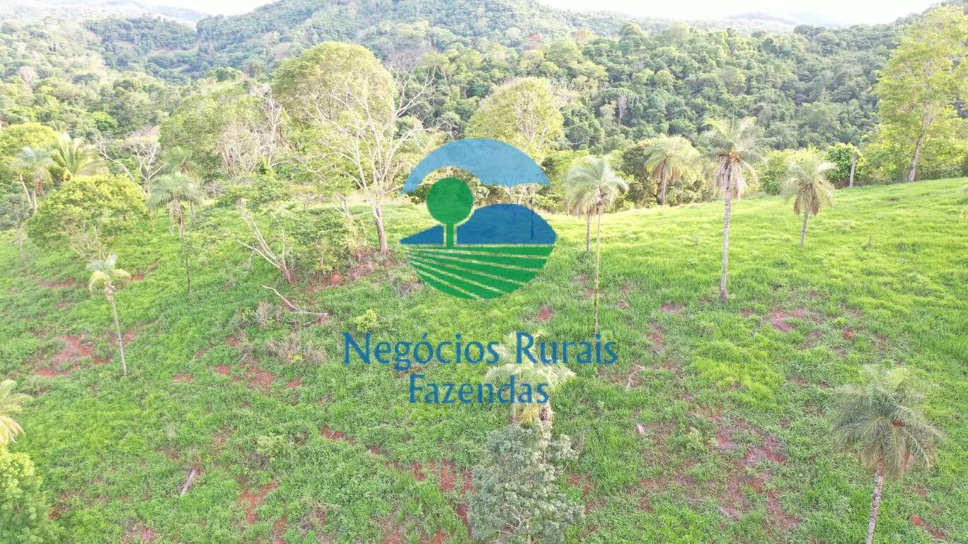 Fazenda à venda de 145 ha em Formoso, GO, Brasil