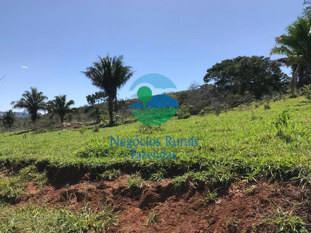 Fazenda à venda de 145 ha em Formoso, GO, Brasil