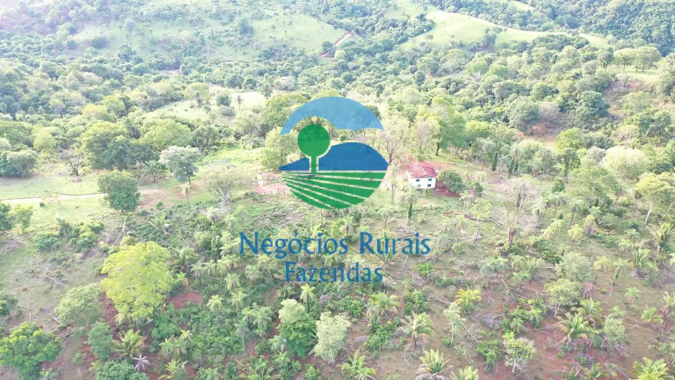 Fazenda à venda de 145 ha em Formoso, GO, Brasil