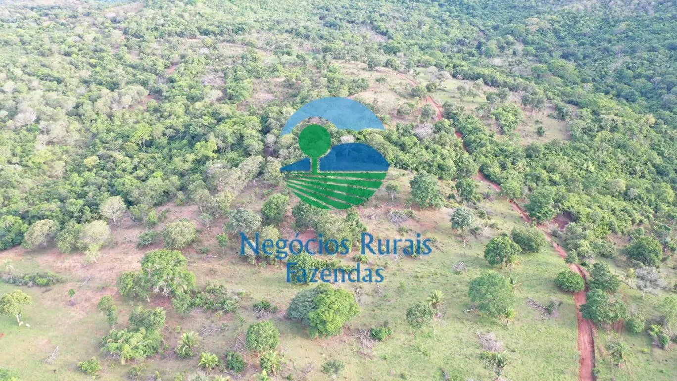 Fazenda à venda de 145 ha em Formoso, GO, Brasil