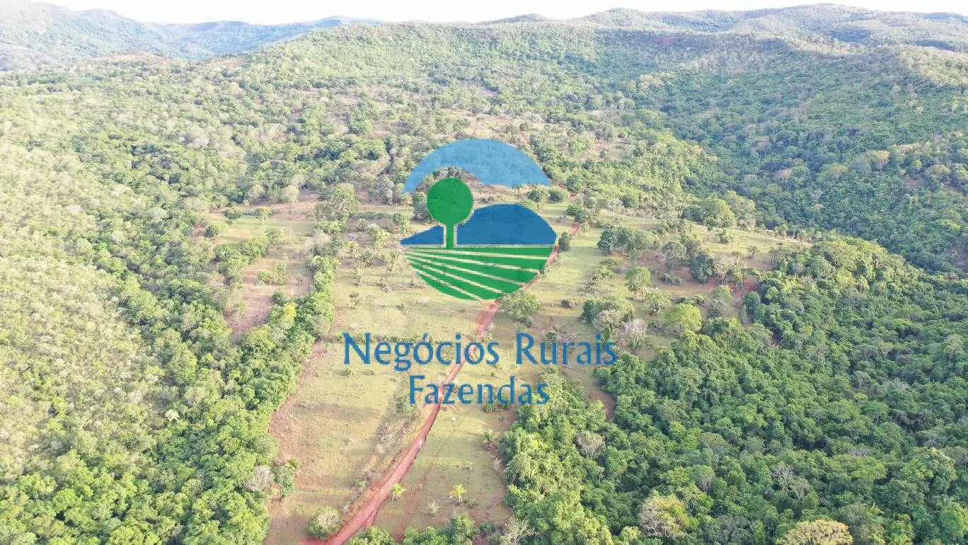 Fazenda à venda de 145 ha em Formoso, GO, Brasil