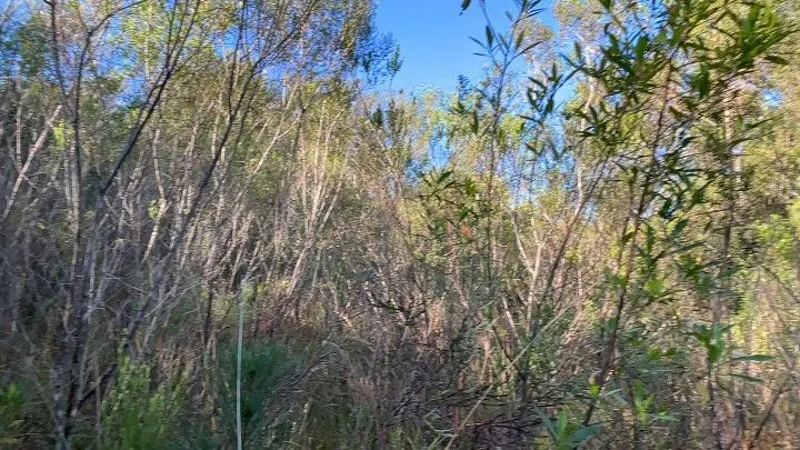 Chácara à venda de 3 ha em Santo Antônio da Patrulha, RS, Brasil