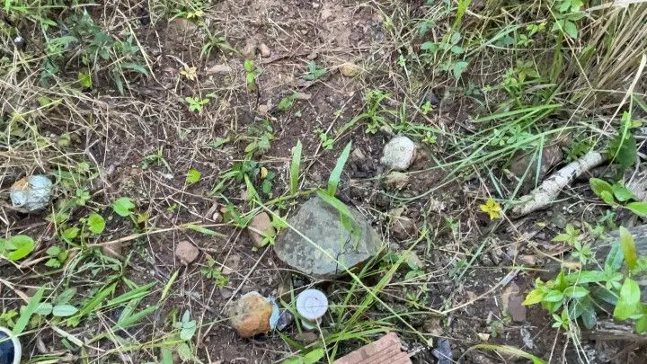 Chácara à venda de 3 ha em Santo Antônio da Patrulha, RS, Brasil