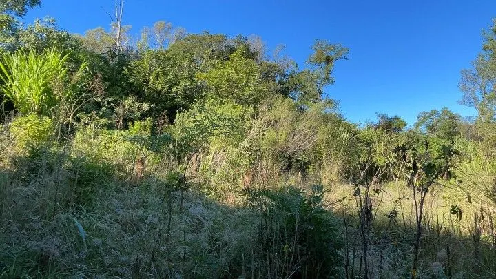 Chácara à venda de 3 ha em Santo Antônio da Patrulha, RS, Brasil