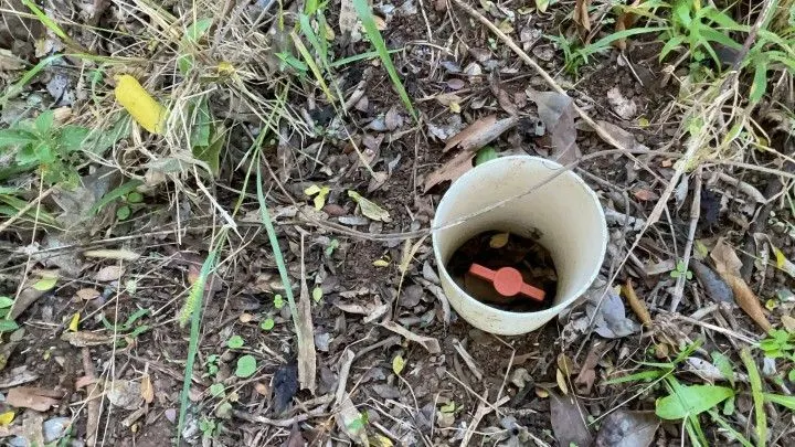 Chácara à venda de 3 ha em Santo Antônio da Patrulha, RS, Brasil