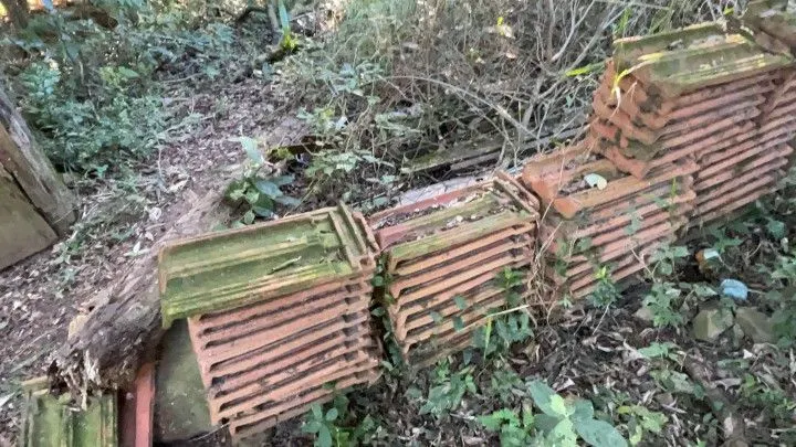 Chácara à venda de 3 ha em Santo Antônio da Patrulha, RS, Brasil