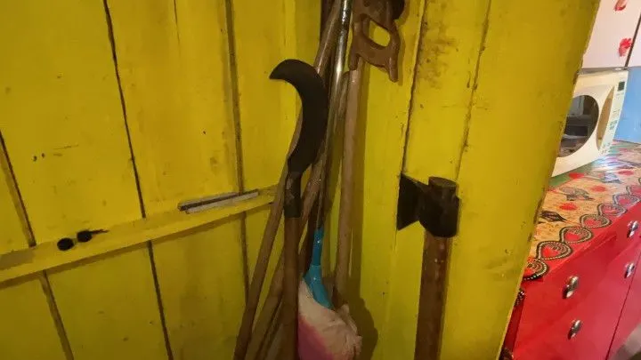 Chácara à venda de 3 ha em Santo Antônio da Patrulha, RS, Brasil