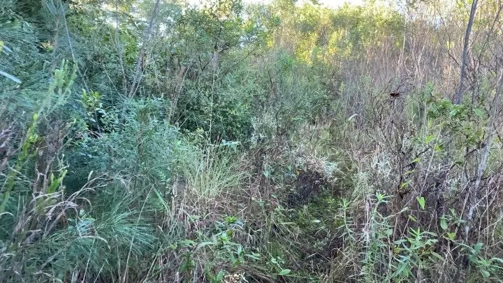 Chácara à venda de 3 ha em Santo Antônio da Patrulha, RS, Brasil