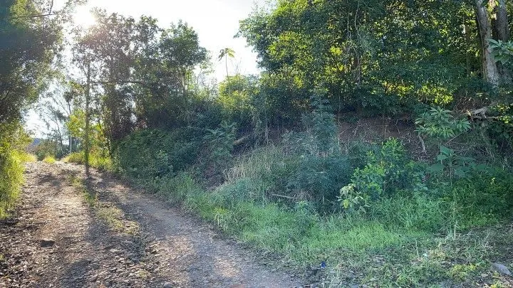 Chácara à venda de 3 ha em Santo Antônio da Patrulha, RS, Brasil