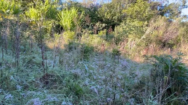 Chácara à venda de 3 ha em Santo Antônio da Patrulha, RS, Brasil