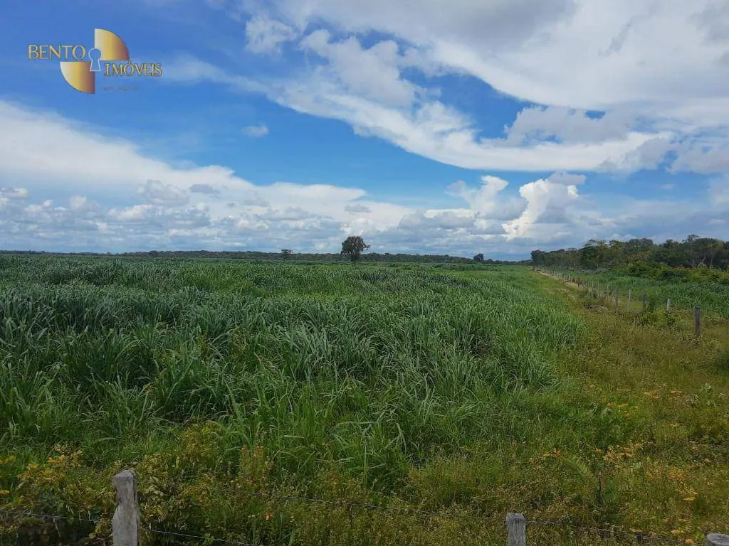 Fazenda à venda de 5.645 ha em Vila Bela da Santíssima Trindade, MT, Brasil