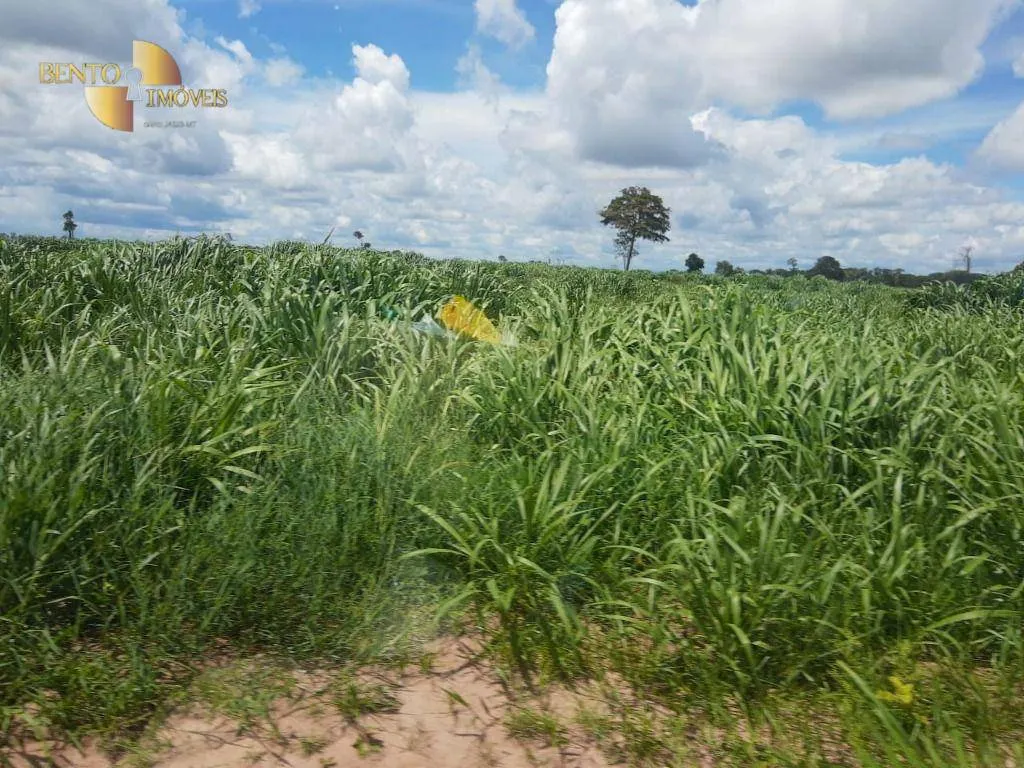 Fazenda à venda de 5.645 ha em Vila Bela da Santíssima Trindade, MT, Brasil