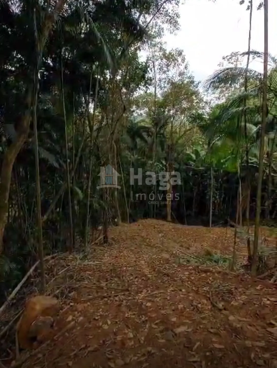 Chácara à venda de 3.410 m² em Águas Mornas, SC, Brasil