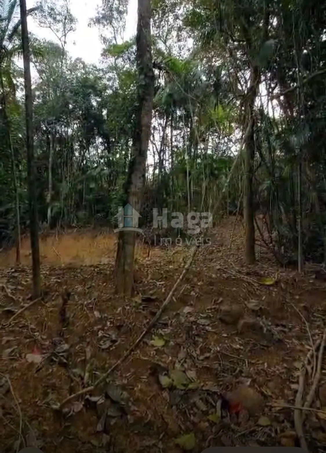 Chácara à venda de 3.410 m² em Águas Mornas, SC, Brasil