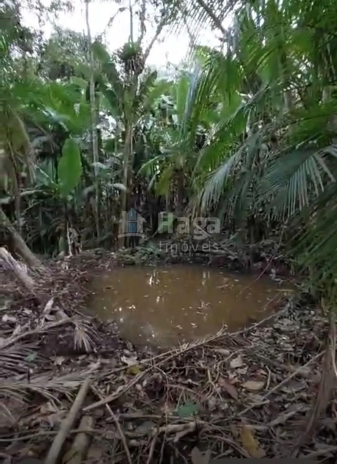 Chácara à venda de 3.410 m² em Águas Mornas, SC, Brasil