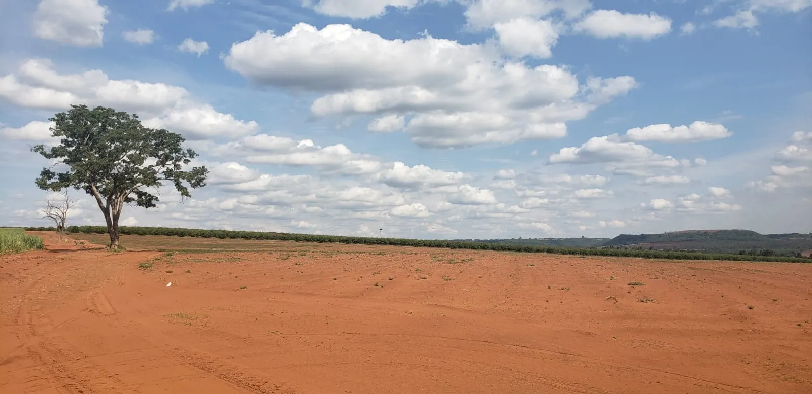 Fazenda à venda e para Arrendar de 426 ha em Araraquara, SP, Brasil