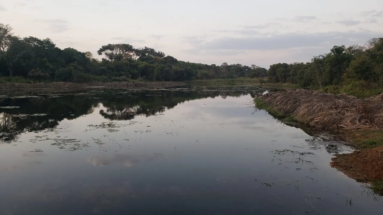 Fazenda à venda e para Arrendar de 426 ha em Araraquara, SP, Brasil