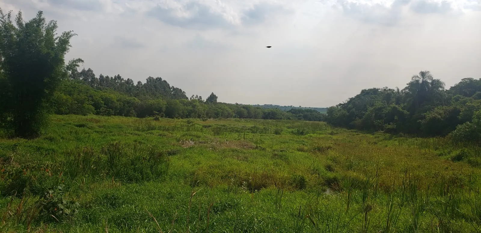 Fazenda à venda e para Arrendar de 426 ha em Araraquara, SP, Brasil