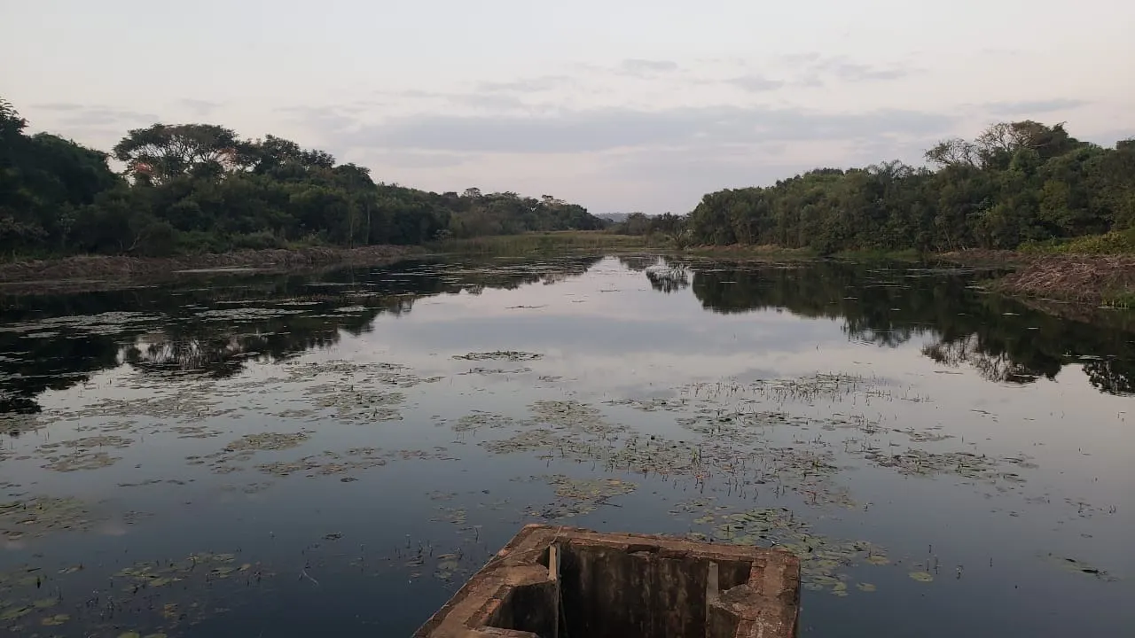 Fazenda à venda e para Arrendar de 426 ha em Araraquara, SP, Brasil