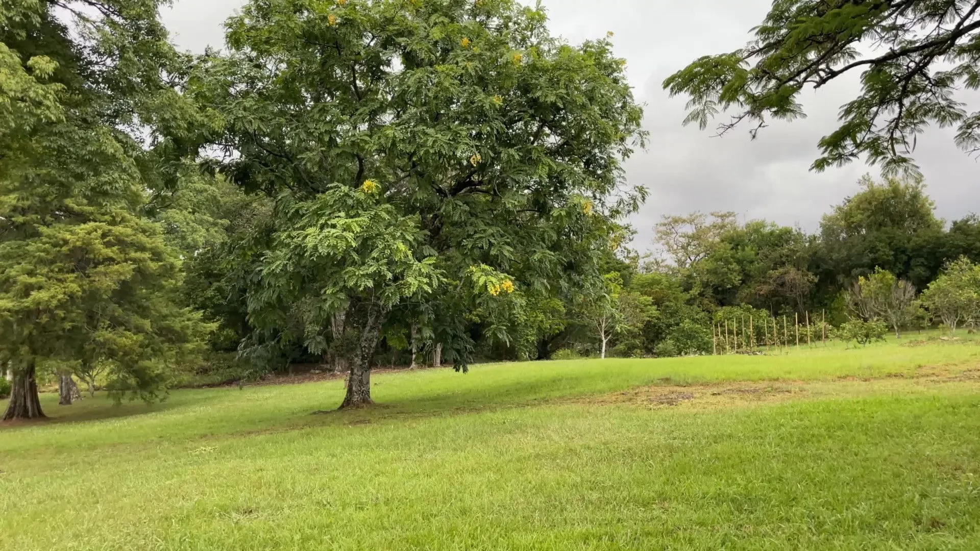 Chácara à venda de 6 ha em Nova Hartz, RS, Brasil
