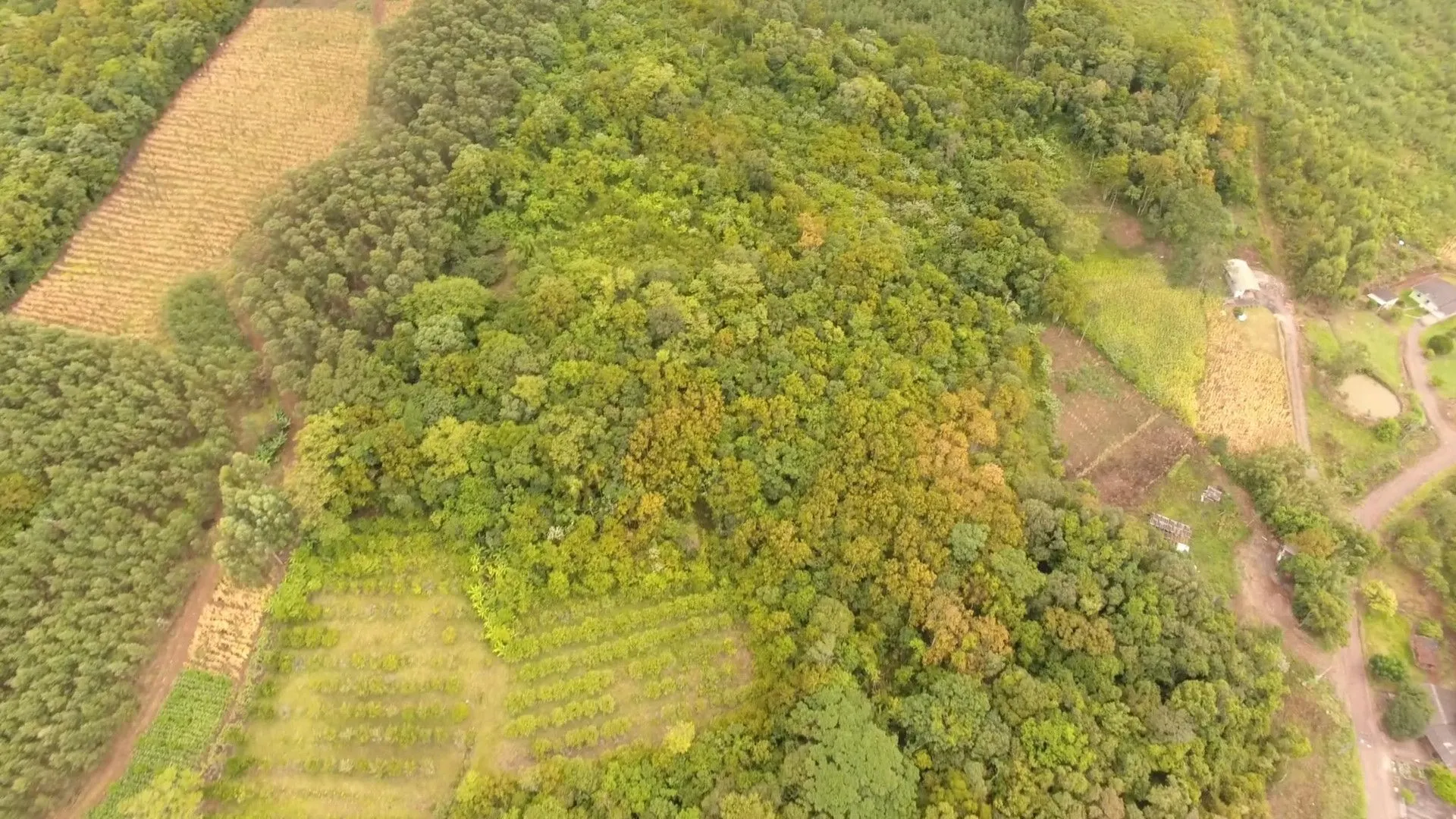 Chácara à venda de 6 ha em Nova Hartz, RS, Brasil