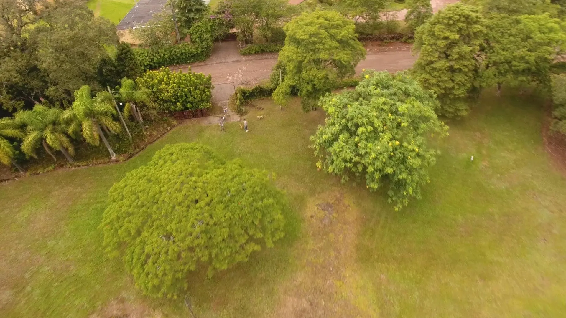 Chácara à venda de 6 ha em Nova Hartz, RS, Brasil