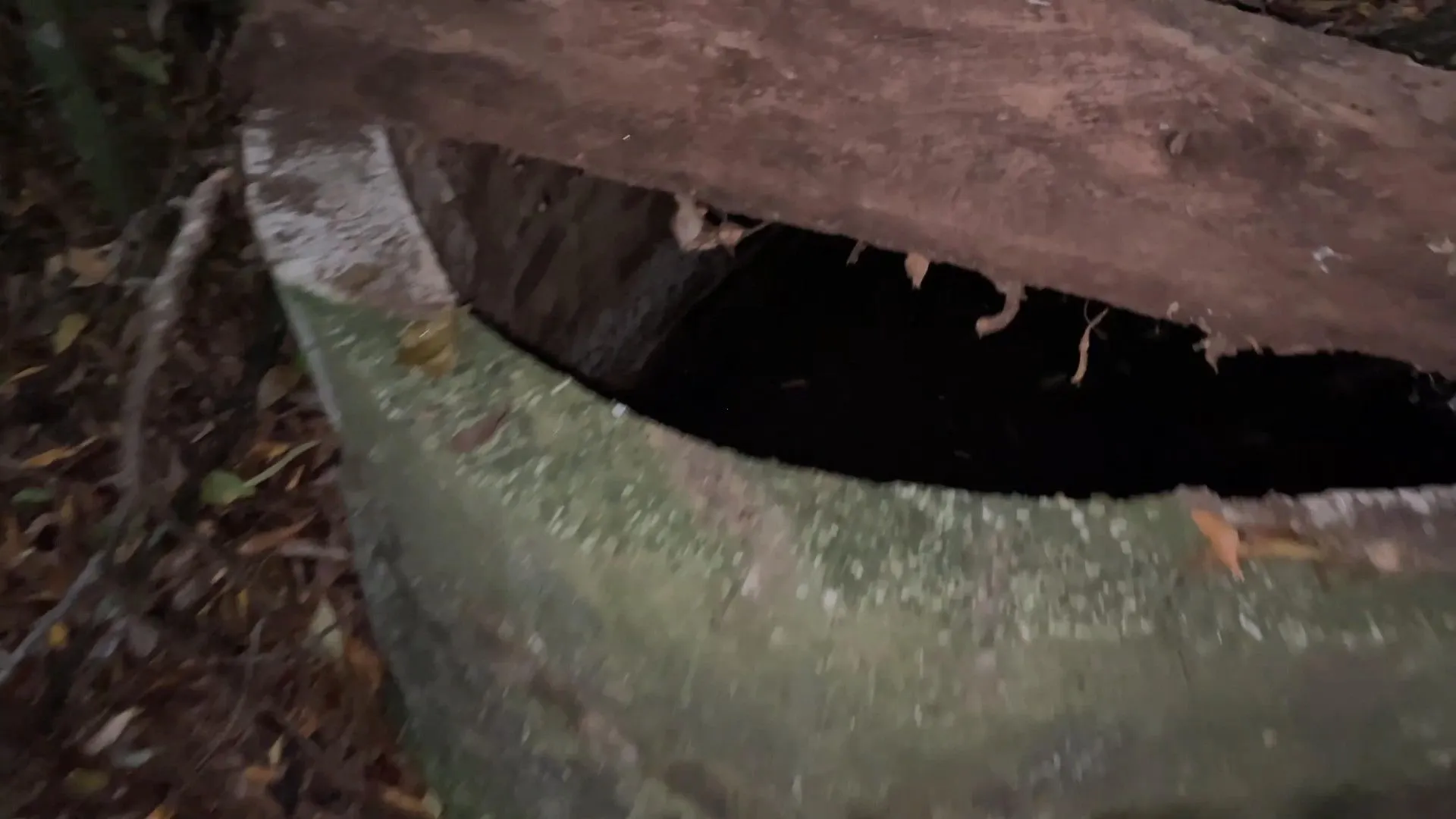 Chácara à venda de 6 ha em Nova Hartz, RS, Brasil