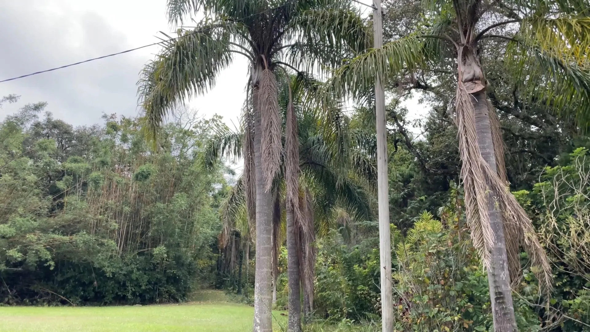 Chácara à venda de 6 ha em Nova Hartz, RS, Brasil