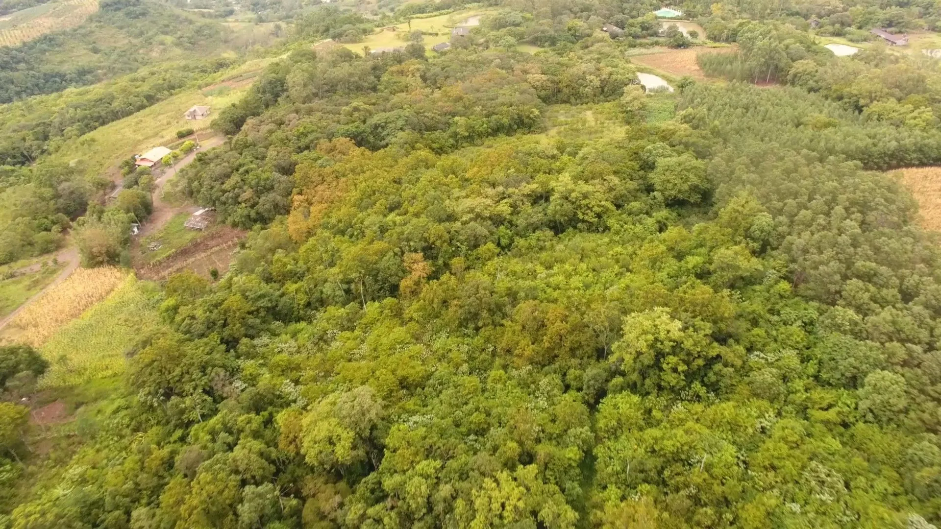 Chácara à venda de 6 ha em Nova Hartz, RS, Brasil