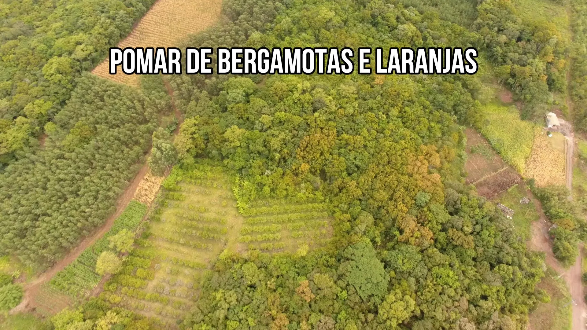Chácara à venda de 6 ha em Nova Hartz, RS, Brasil
