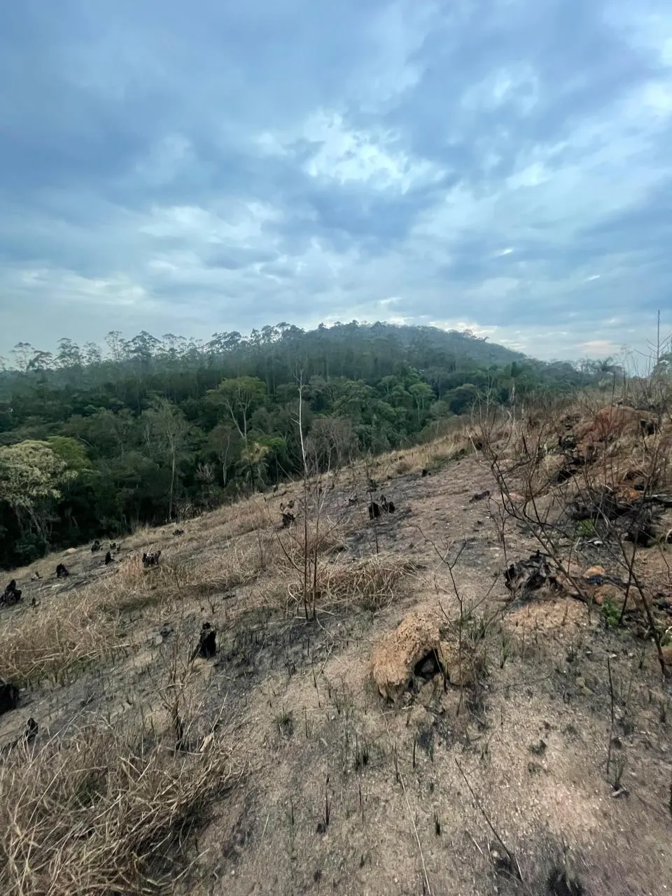 Terreno à venda de 1.000 m² em Mairiporã, SP, Brasil