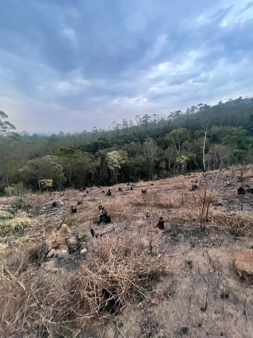 Terreno à venda de 1.000 m² em Mairiporã, SP, Brasil