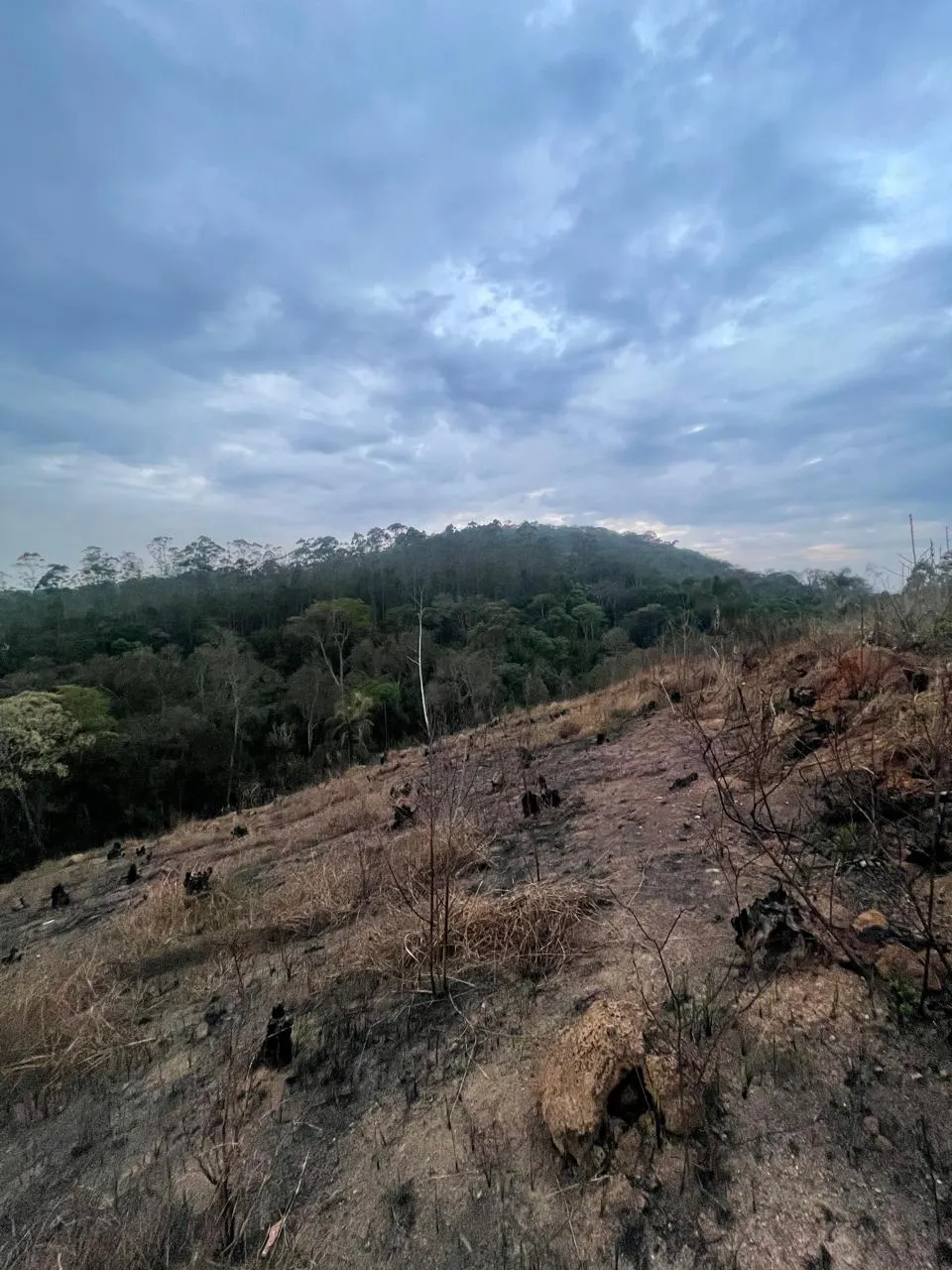 Terreno à venda de 1.000 m² em Mairiporã, SP, Brasil