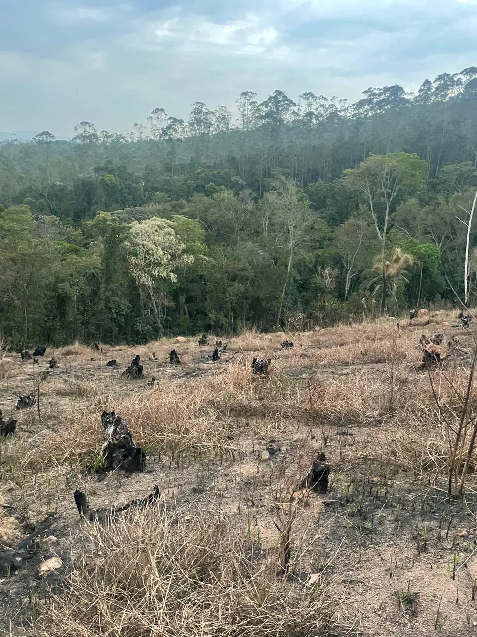 Terreno à venda de 1.000 m² em Mairiporã, SP, Brasil