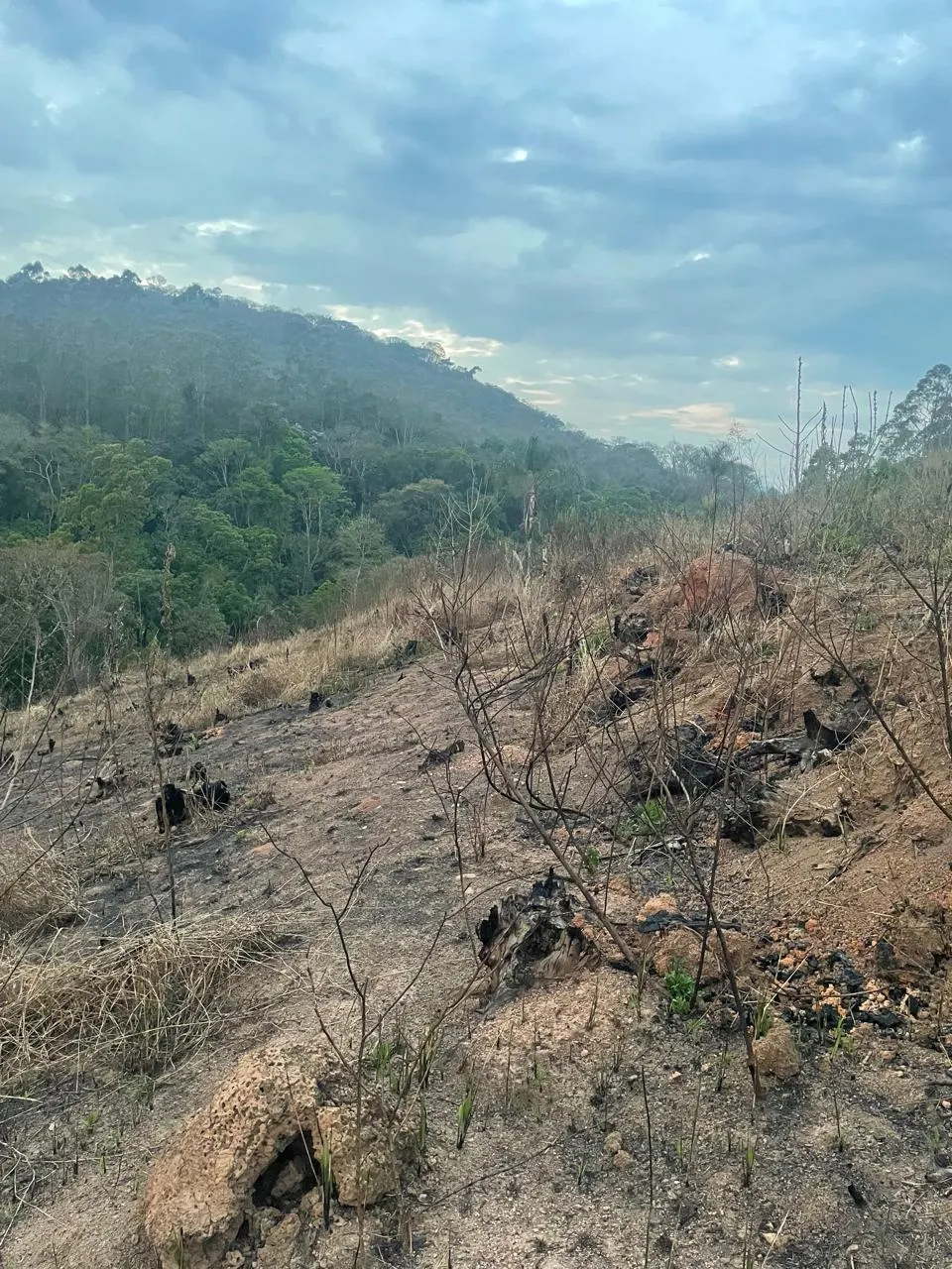 Terreno à venda de 1.000 m² em Mairiporã, SP, Brasil