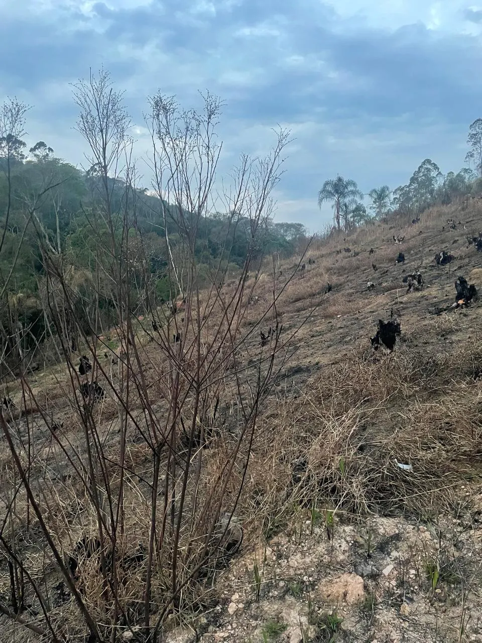 Terreno à venda de 1.000 m² em Mairiporã, SP, Brasil