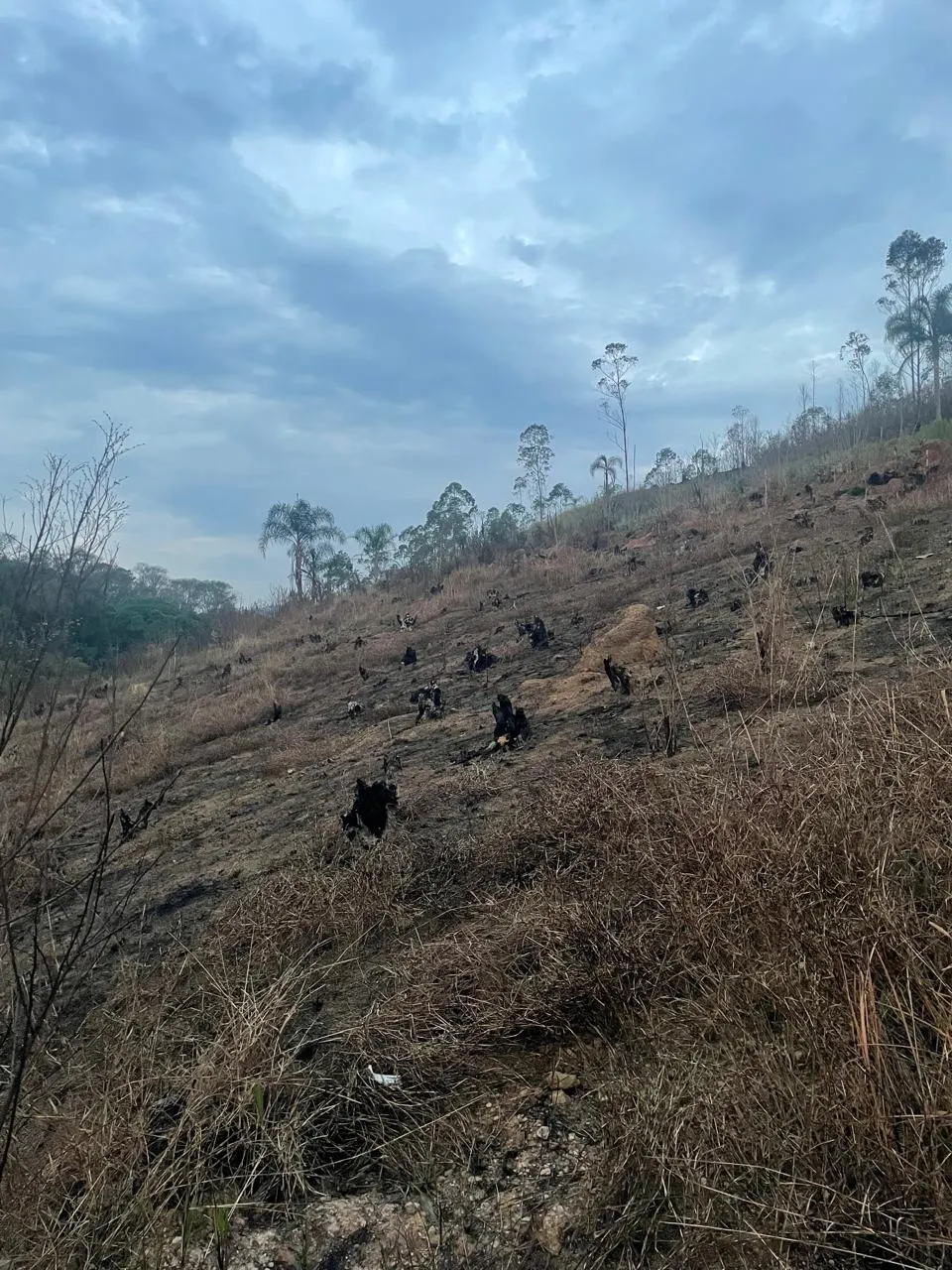 Terreno à venda de 1.000 m² em Mairiporã, SP, Brasil