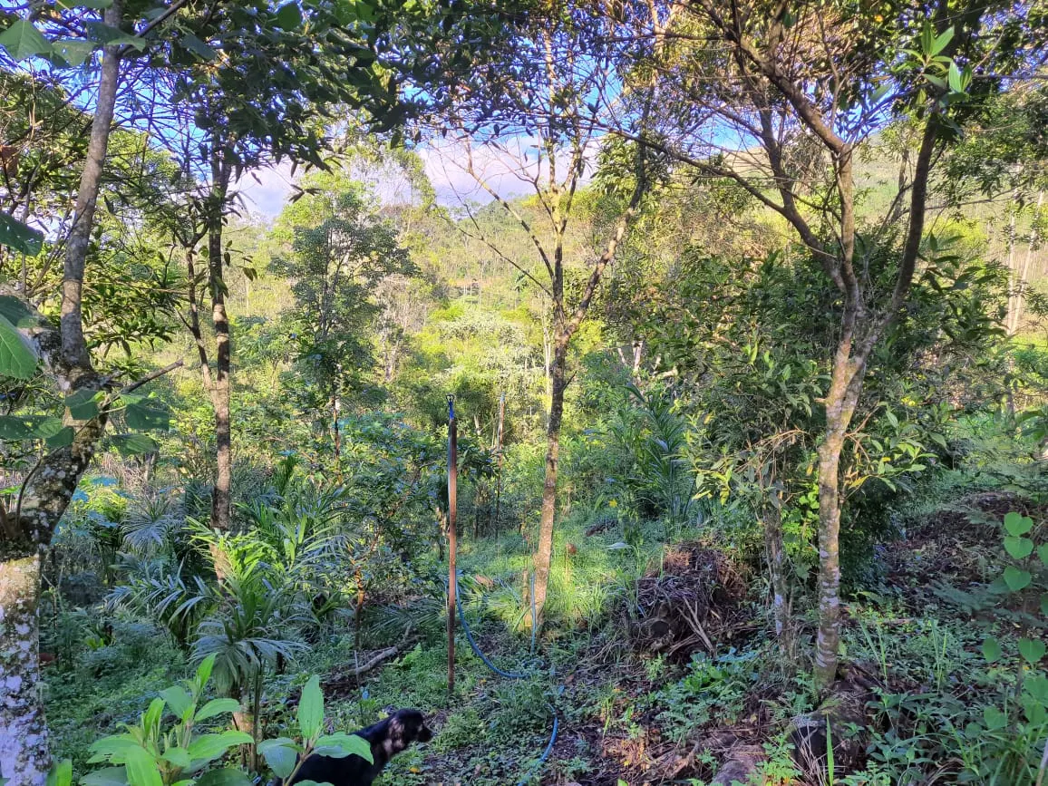 Casa à venda de 5 ha em São José dos Campos, SP, Brasil