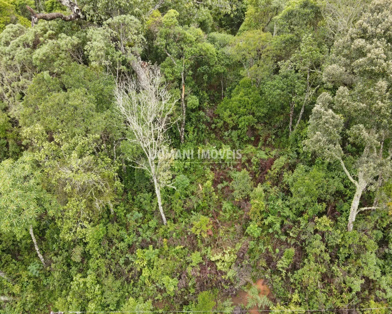 Terreno à venda de 1.580 m² em Campos do Jordão, SP, Brasil