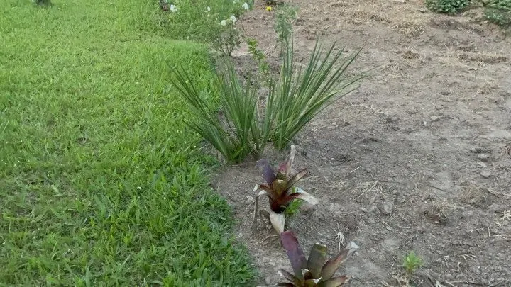Chácara à venda de 1.900 m² em Santo Antônio da Patrulha, RS, Brasil