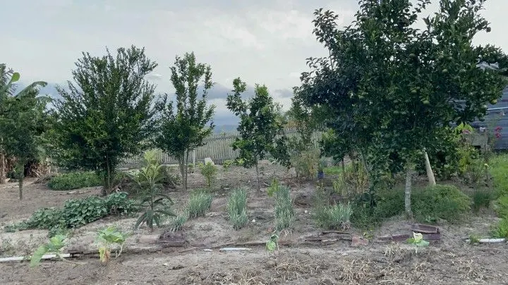 Chácara à venda de 1.900 m² em Santo Antônio da Patrulha, RS, Brasil