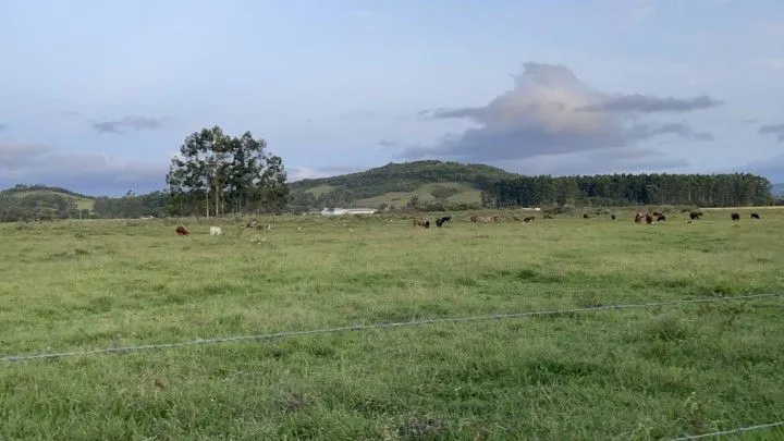 Chácara à venda de 1.900 m² em Santo Antônio da Patrulha, RS, Brasil