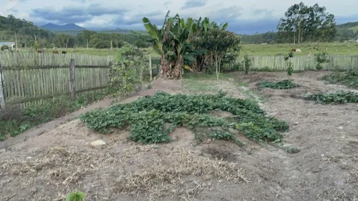 Chácara à venda de 1.900 m² em Santo Antônio da Patrulha, RS, Brasil